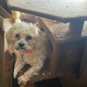 Meet your Posher, Leeann